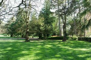 schön Aussicht von Bäume und Geäst beim lokal Öffentlichkeit Park von Luton Stadt, Dorf von England foto