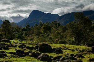 schön Landschaft beim das Kokos Senke mit das berühmt Morrogacho Hügel auf das Hintergrund foto
