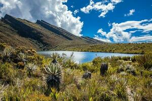 schön Landschaft von kolumbianisch andean Berge zeigen paramo Art Vegetation im das Abteilung von cundinamarca foto