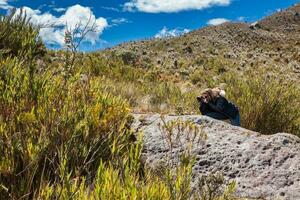 jung Frau erkunden das Natur von ein schön paramo beim das Abteilung von cundinamarca im Kolumbien foto