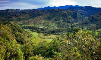 schön Aussicht Über das Kokos Senke im Salento, von el mirador, gelegen auf das Region von quindio im Kolumbien foto