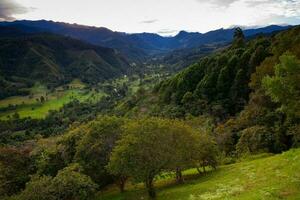 schön Aussicht Über das Kokos Senke im Salento, von el mirador, gelegen auf das Region von quindio im Kolumbien foto