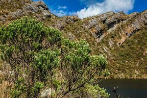 schön Landschaft von kolumbianisch andean Berge zeigen paramo Art Vegetation im das Abteilung von cundinamarca foto