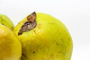 Obst von das Psidium friedrichsthalianum namens Guayaba agria oder Guayaba Coronilla foto