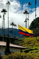 kolumbianisch Flagge beim das schön Wolke Wald und das quindio Wachs Palmen beim das Kokos Senke gelegen im Salento im das quindio Region im Kolumbien. foto