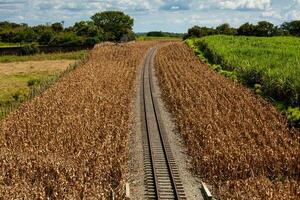 Eisenbahn Spuren im ein ländlich Szene im ein schön sonnig Tag beim das Tal del cauca Region im Kolumbien foto