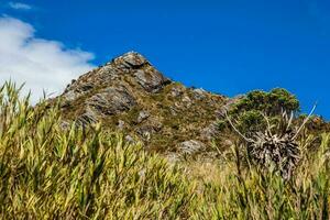 schön Landschaft von kolumbianisch andean Berge zeigen paramo Art Vegetation im das Abteilung von cundinamarca foto