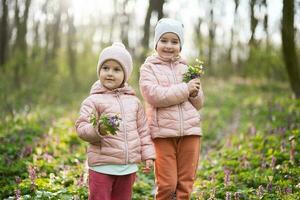 Porträt von zwei wenig Schwestern mit Strauß von Blumen auf sonnig Wald. draussen Frühling Freizeit Konzept. foto