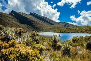 schön Landschaft von kolumbianisch andean Berge zeigen paramo Art Vegetation im das Abteilung von cundinamarca foto