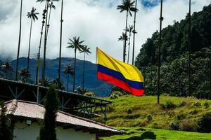 kolumbianisch Flagge beim das schön Wolke Wald und das quindio Wachs Palmen beim das Kokos Senke gelegen im Salento im das quindio Region im Kolumbien. foto