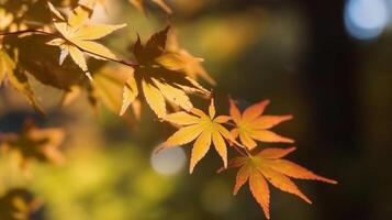 Herbst Blätter Hintergrund Illustration ai generativ foto