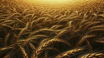 golden Roggen Feld von oben schließen, molekular Kunst, 3d, Argentinisch Getreide, Ultra, hd, erzeugen ai foto