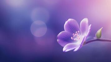 violett Blume Hintergrund. Illustration ai generativ foto