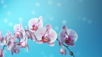 natürlich Orchidee Blume Hintergrund. Illustration ai generativ foto