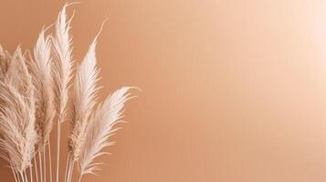 Pampas Gras Beige minimalistisch Hintergrund. Illustration ai generativ foto