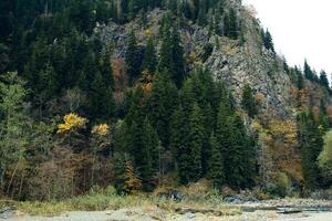 Herbst Wald Berge Bäume Landschaft frisch Luft foto