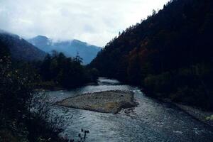 hoch Wald Berge Herbst Fluss schön Landschaft foto