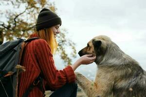 Frau Reisen im das Berge mit ein Hund gehen Freundschaft Herbst foto