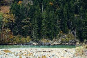 Herbst Wald Bäume Berge Fluss Landschaft Natur foto