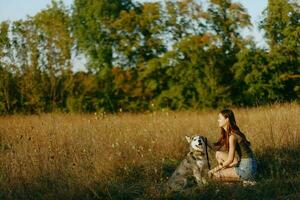 ein Frau Theaterstücke und Tänze mit ein heiser Rasse Hund im Natur im Herbst auf ein Gras Feld, Ausbildung und Ausbildung ein jung Hund foto