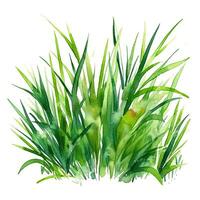 Aquarell Grün Gras. Illustration ai generativ foto