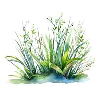 Aquarell Grün Gras. Illustration ai generativ foto