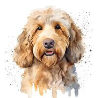 süß Aquarell Goldendoodle Hund. Illustration ai generativ foto