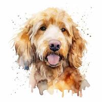 süß Aquarell Goldendoodle Hund. Illustration ai generativ foto