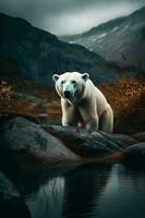 ein Polar- Bär in der Nähe von das Fluss auf das Stein. generieren ai foto