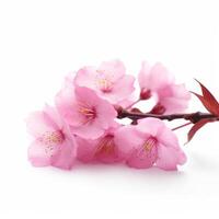 Sakura Blume Hintergrund. Illustration ai generativ foto