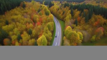 Drohne Aussicht Herbst Wald Straße. Illustration ai generativ foto