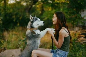 ein Frau mit ein heiser Rasse Hund lächelt und liebevoll Schlaganfälle ihr Geliebte Hund während Gehen im Natur im das Park im Herbst gegen das Hintergrund von Sonnenuntergang foto