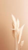 Pampas Gras Beige minimalistisch Hintergrund. Illustration ai generativ foto