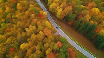 Drohne Aussicht Herbst Wald Straße. Illustration ai generativ foto