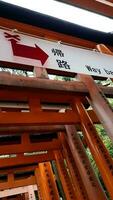 Kyoto, Japan im April 2019. Touristen nehmen Bilder und Gehen im das Fushimi Inari Bereich von Kyoto. foto