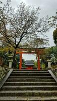 Kyoto, Japan im April 2019. das Riese torii Tor im Vorderseite von romon Tor beim das Eingang von Fushimi Inari Taisha Schrein. foto