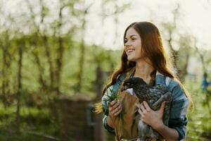 ein schön Frau Farmer nimmt Pflege von das Hühner auf ihr Bauernhof und hält ein grau Hähnchen lächelnd. das Konzept von organisch Leben und Pflege zum Natur foto