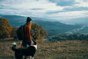 heiter Frau Wanderer Natur Berge Reise Nächster zu das Hund Freiheit Freundschaft foto