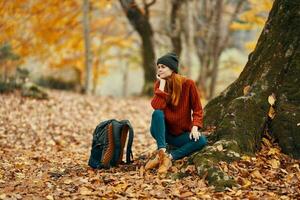 Frau in der Nähe von Baum und Rucksack zum Reise gefallen Blätter Herbst Wald foto