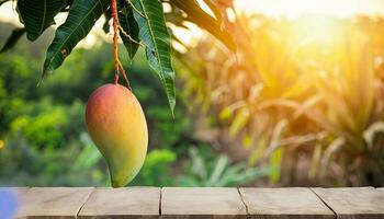 Mango Obst hängend auf ein Baum mit ein rustikal hölzern Tabelle foto