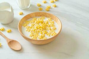 Müsli mit frischer Milch foto