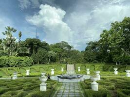 natürlich Garten Park foto