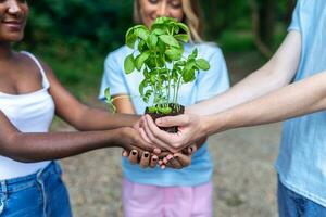 Hände halten jung Pflanze. oben Sicht. Neu Leben, Öko, nachhaltig Leben, Null Abfall, Plastik frei, Erde Tag, Investition Konzept. Evangelium Verbreitung. Pflege Baby Anlage, schützen Natur. foto