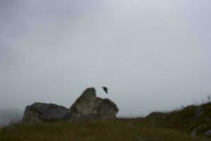 Herbst Landschaft hoch Steine mit Abend Wetter Reise frisch Luft foto