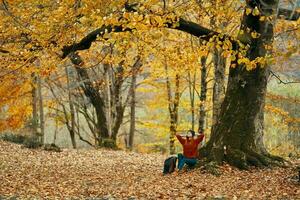 Frau im Herbst Wald Sitzung unter ein Baum mit Gelb Blätter Landschaft Park Modell- foto