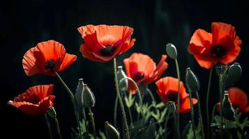 rot Mohnblumen wie ein Symbol von Erinnerung zum das gefallen im das Krieg. Fünf-Tag, Welt Krieg Erinnerung Tag. generativ ai Illustration foto