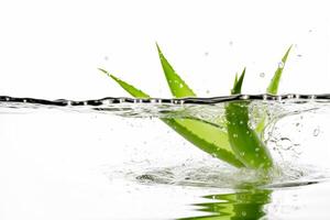 Aloe vera im Wasser mit spritzt auf Weiß Hintergrund. generativ ai Illustration foto