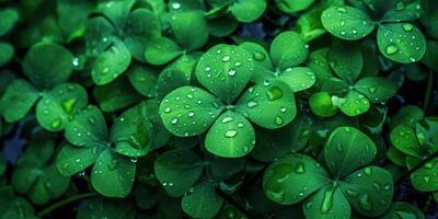 ai generiert. Foto realistisch Illustration von oben Aussicht Grün frisch Kleeblatt Blätter. irisch Symbol. ai generativ. Grafik Kunst