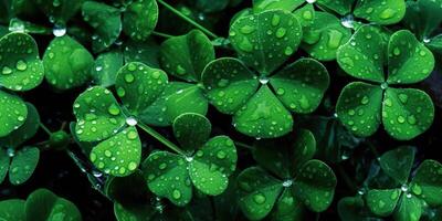 ai generiert. Foto realistisch Illustration von oben Aussicht Grün frisch Kleeblatt Blätter. irisch Symbol. ai generativ. Grafik Kunst