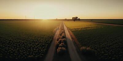 ai generiert. ai generativ. Foto realistisch Illustration von wild Landschaft Landschaft Texas im Amerika. Farmer Abenteuer wild Lebensstil Stimmung. Grafik Kunst